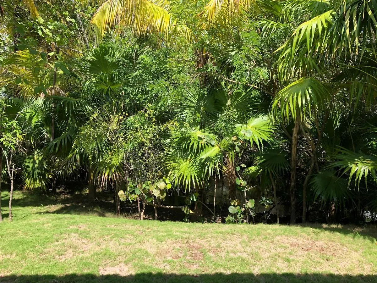 Movich Club At Blue Diamond Luxury Boutique Hotel Lafitte 5*,  Mexico
